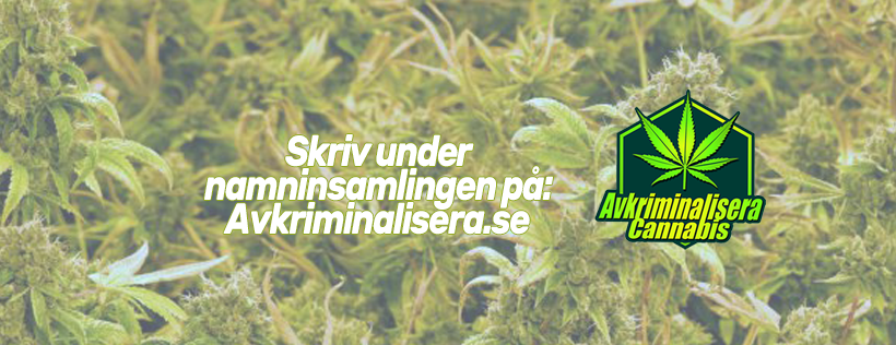 Avkriminalisera Cannabis (AKC)